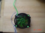 DSC02011.jpg