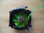 DSC02012.jpg