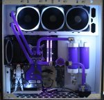 Purplee skul;ll 3.jpg